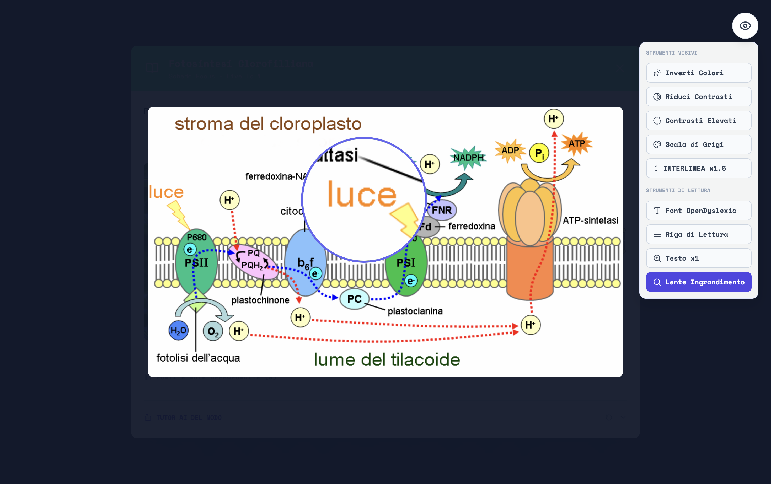 Lente di ingrandimento